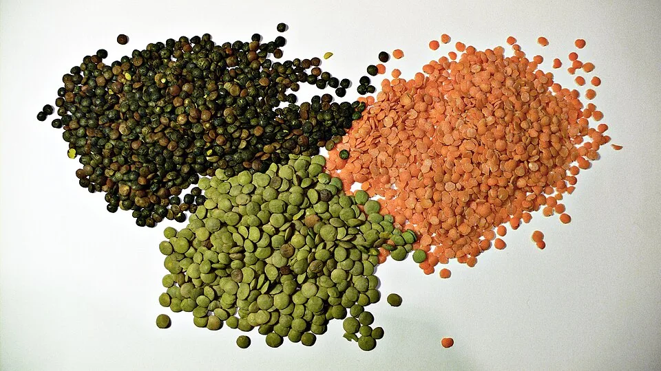 عدس بلدي أحمر منقّى — حبوب بعلبك